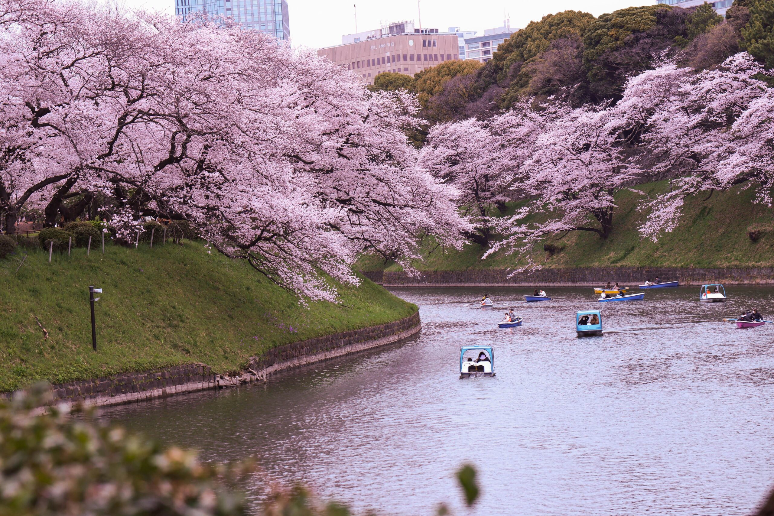 Japan Airlines, Business Class, Seattle – Tokyo